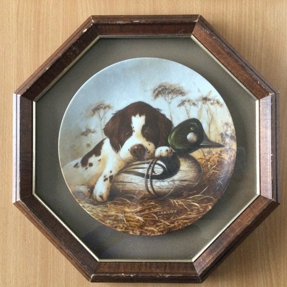 Dog Tired-The Springer Spaniel octagonal wood frame collector plate cute dog - Picture 1 of 6